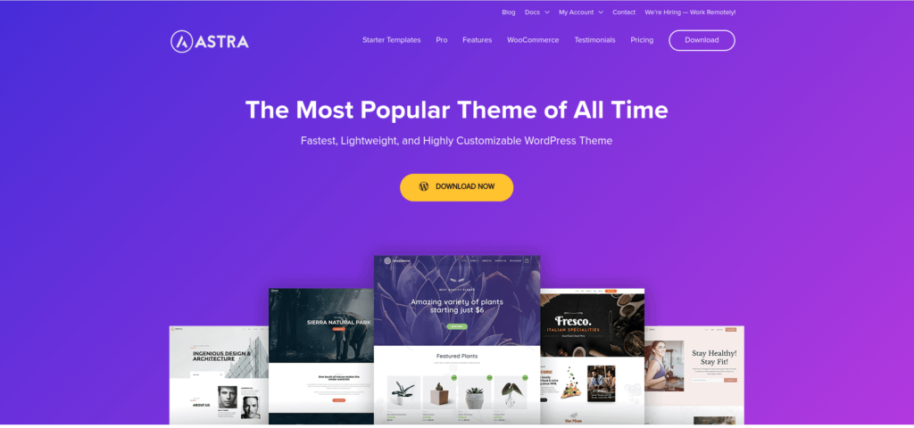 online store woocommerce themes